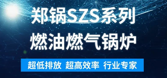 环保先锋 | 意大利贵宾会SZS系列燃油燃气锅炉解析